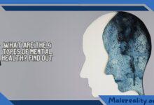 What Are the 4 Types of Mental Health Find Out