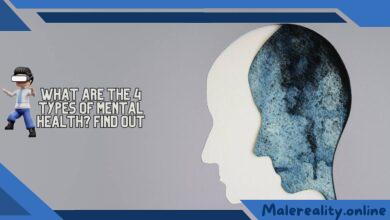 What Are the 4 Types of Mental Health Find Out