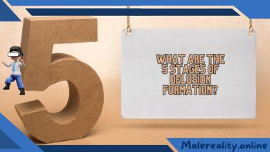 What Are the 5 Stages of Delusion Formation